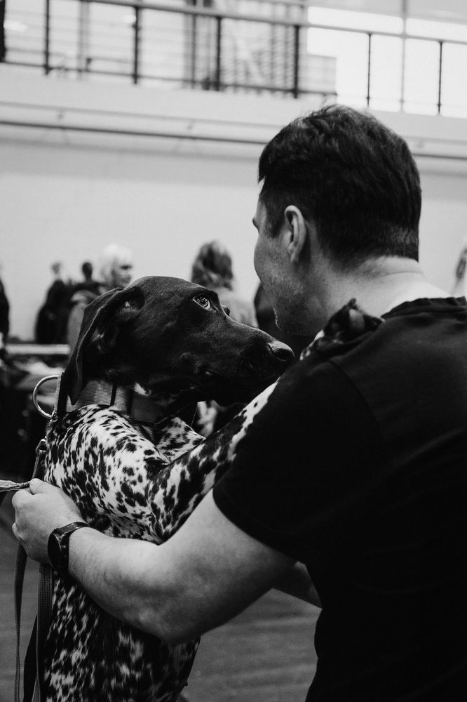 Фотография автора Kat Laisaar