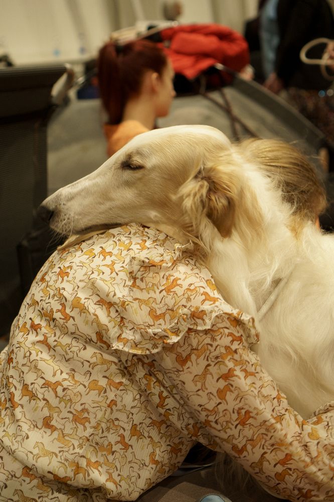 Фотография автора Kat Laisaar