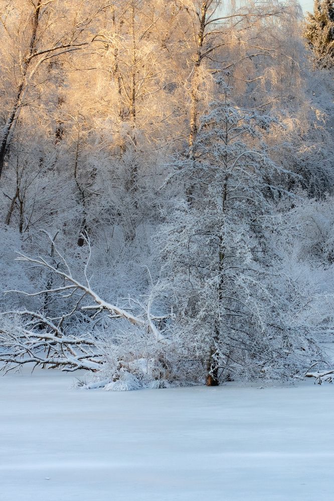 Photograph by Ed Simon