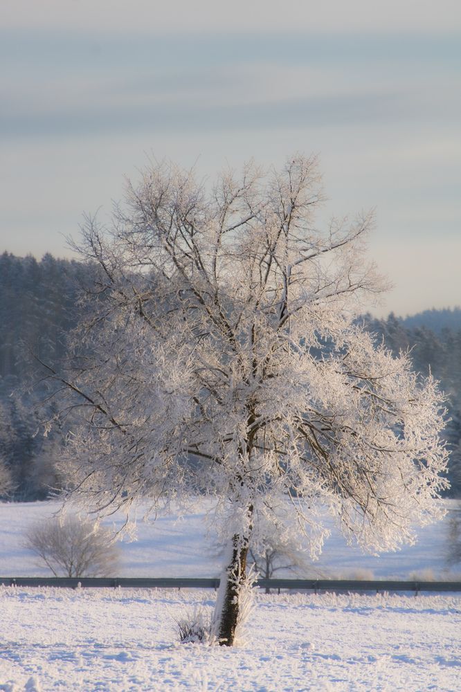 Photograph by Ed Simon