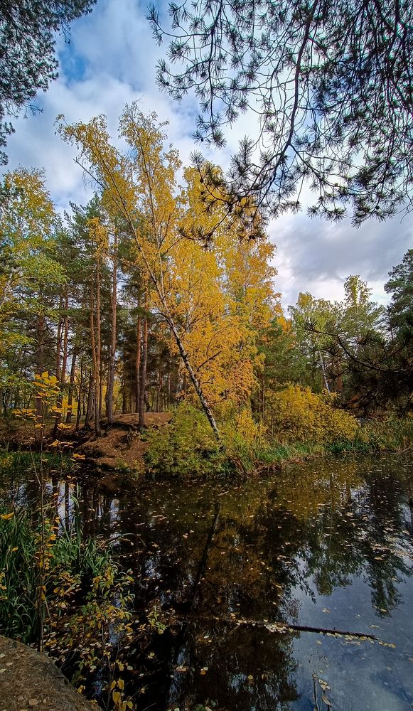 Photograph by Наташа Шибаева