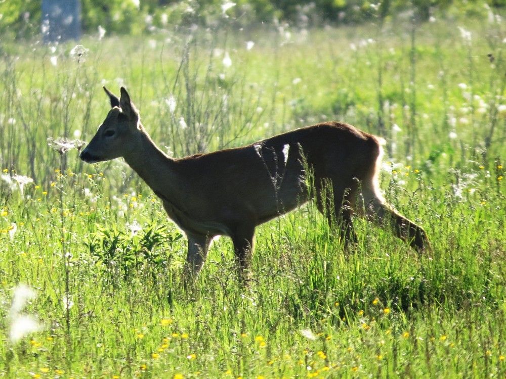 Photograph by Лариса Басова