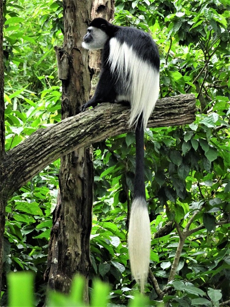 Photograph by Мила Милая