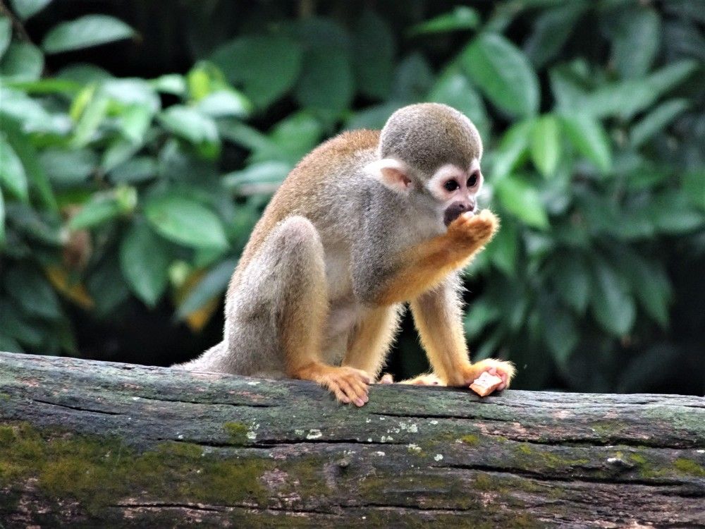 Photograph by Мила Милая