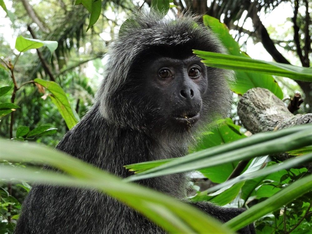 Photograph by Мила Милая