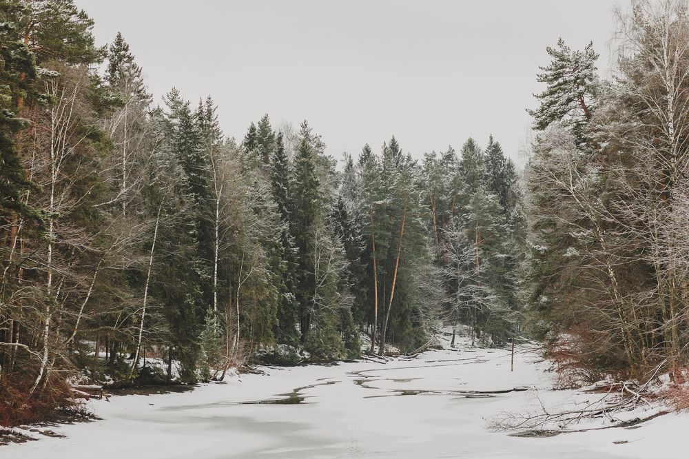 Photograph by Анна Ушакова