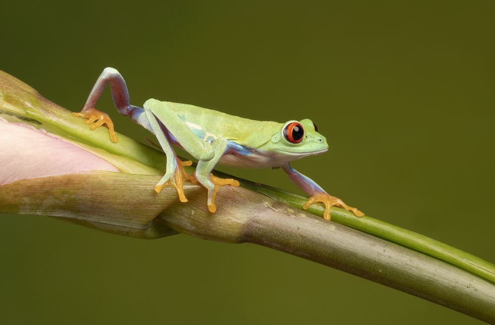 Фотография автора MARIA KULA