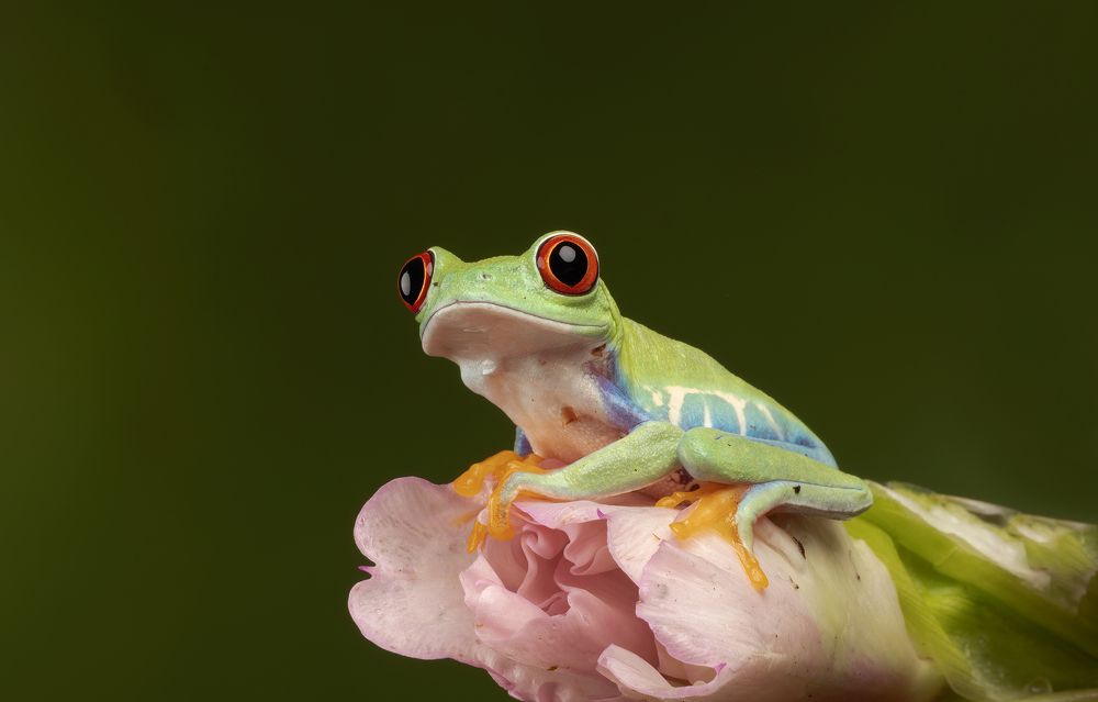 Фотография автора MARIA KULA