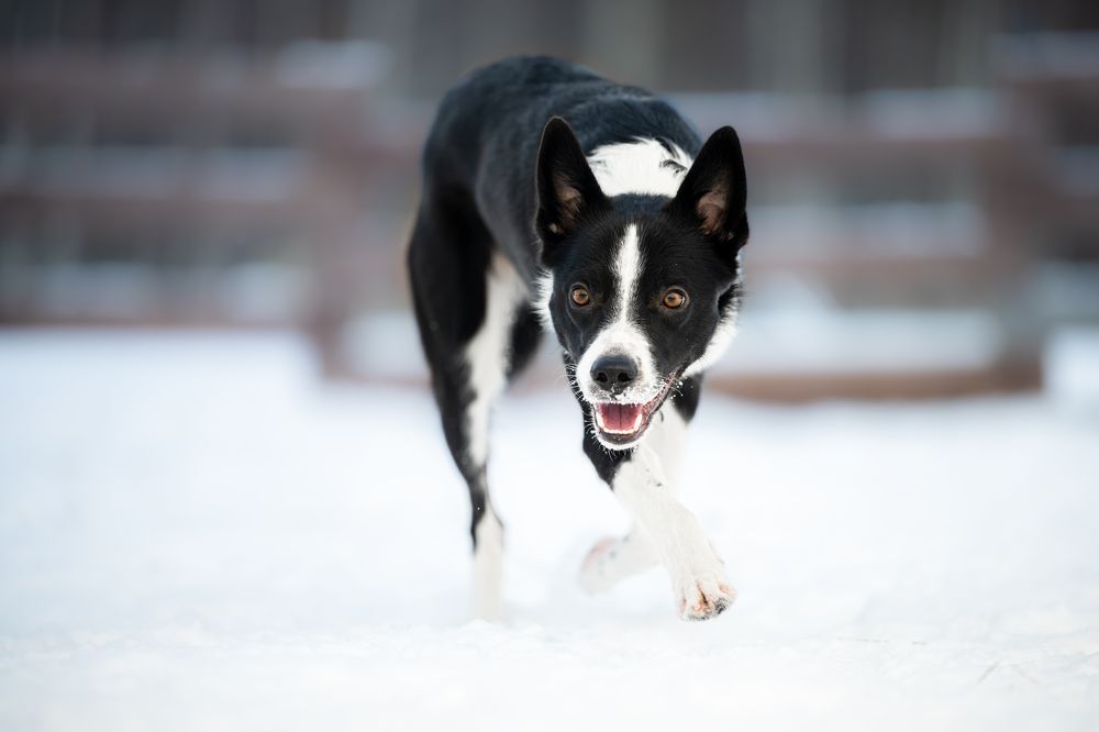 Photograph by Мария Калинина