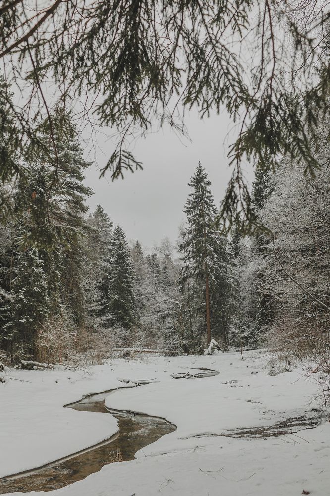 Photograph by Анна Ушакова