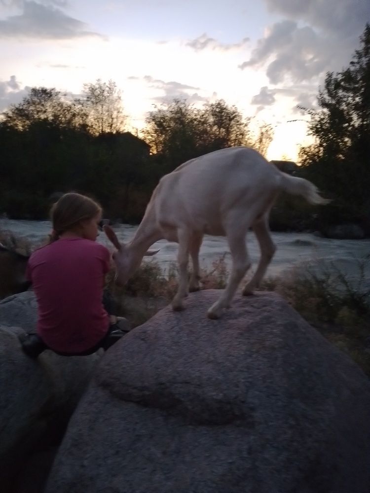 Photo #11728073