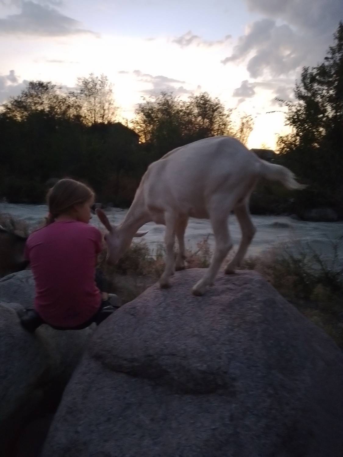 Photo #11728073