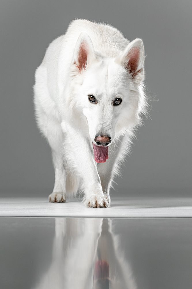 Photograph by Мария Калинина