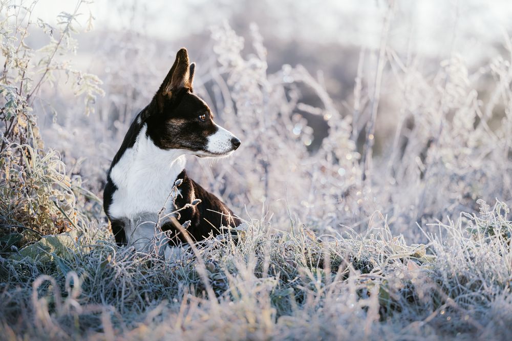 Photograph by Мария Калинина