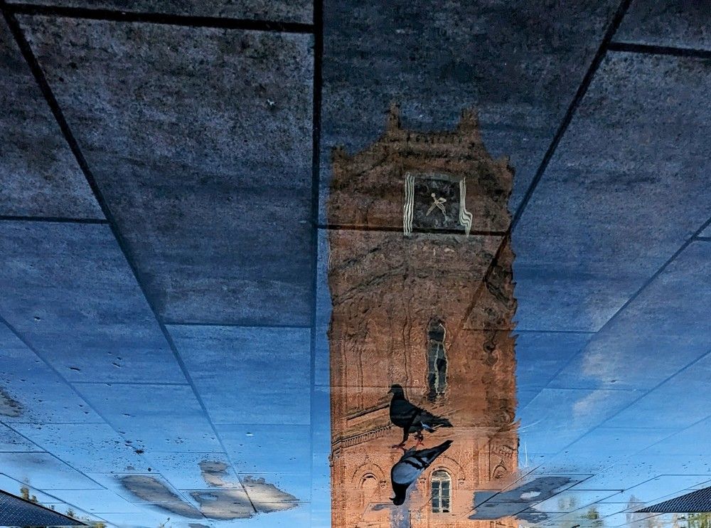 Фотография автора Елизавета