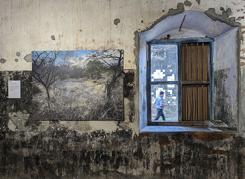 Фотография автора Елизавета