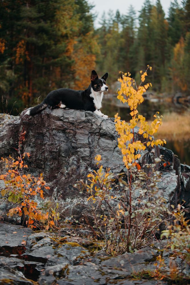 Photograph by Мария Калинина