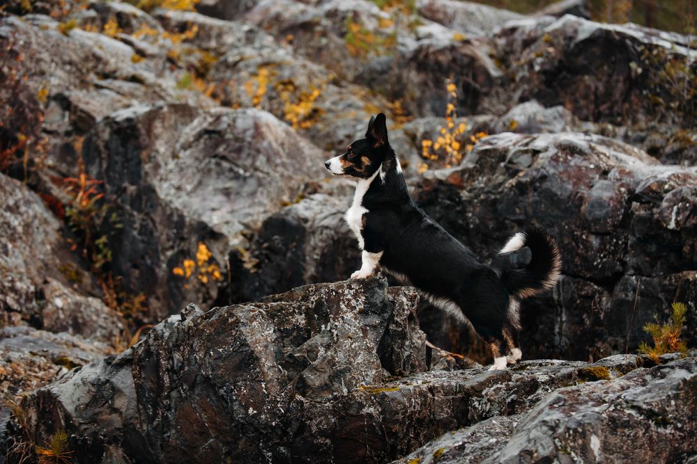 Photograph by Мария Калинина