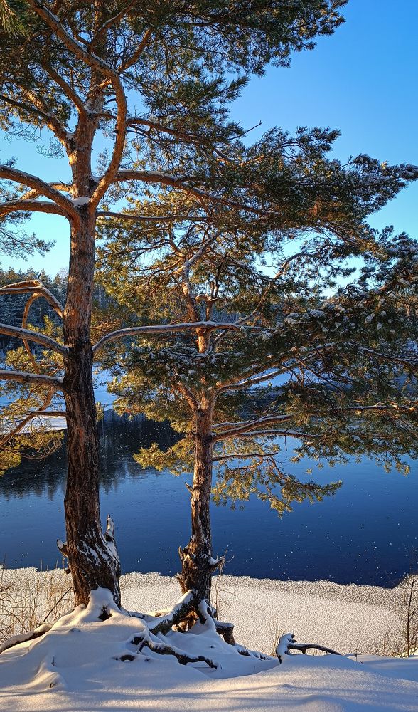 Photograph by Наташа Шибаева