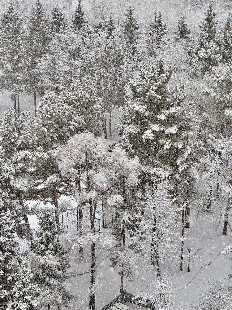 Photograph by Оксана Малышева