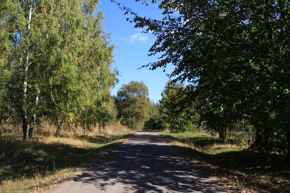 Photograph by Ирина Савостикова