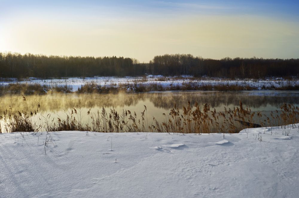 Photograph by Мишустина Татьяна