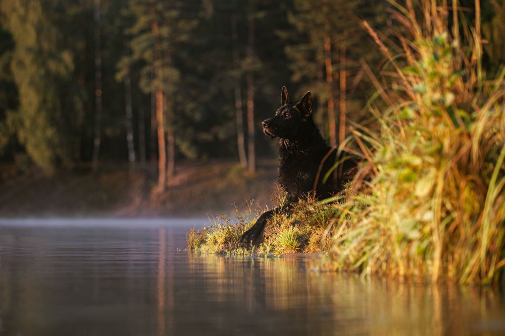 Photograph by Мария Калинина