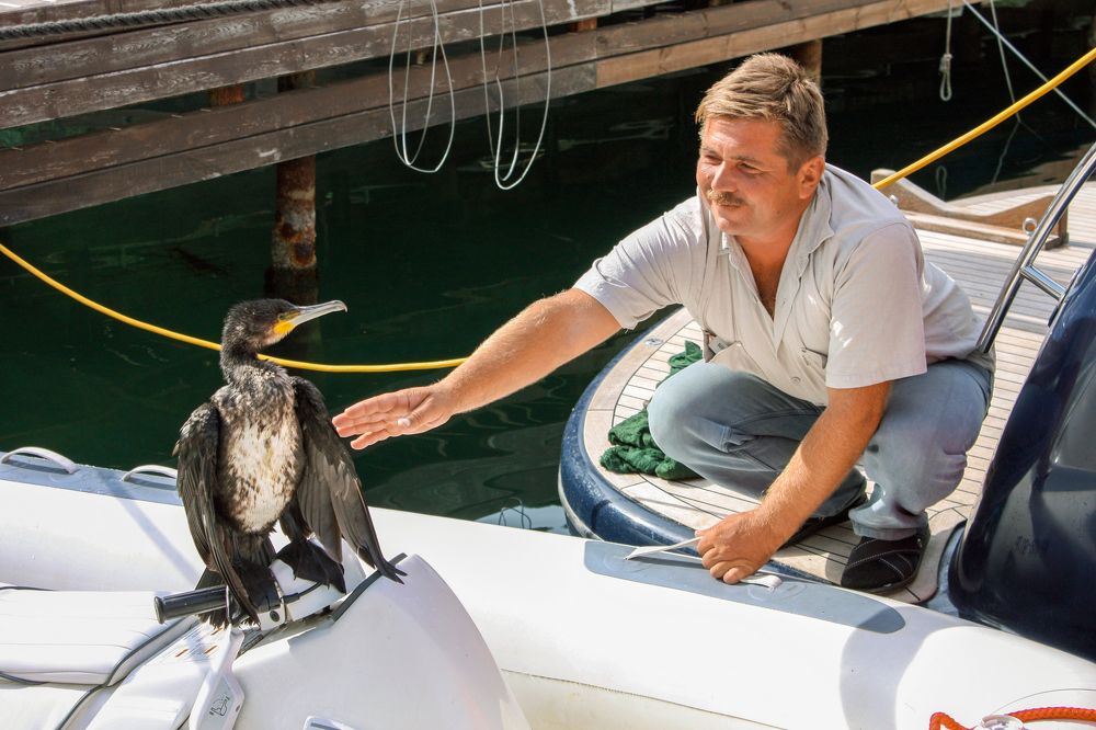 Photograph by Сергей Христинич