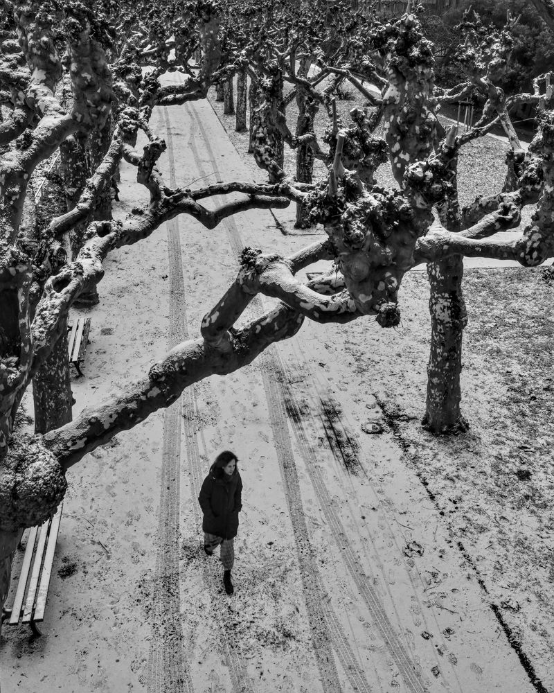 Photograph by Balcetis Audrius