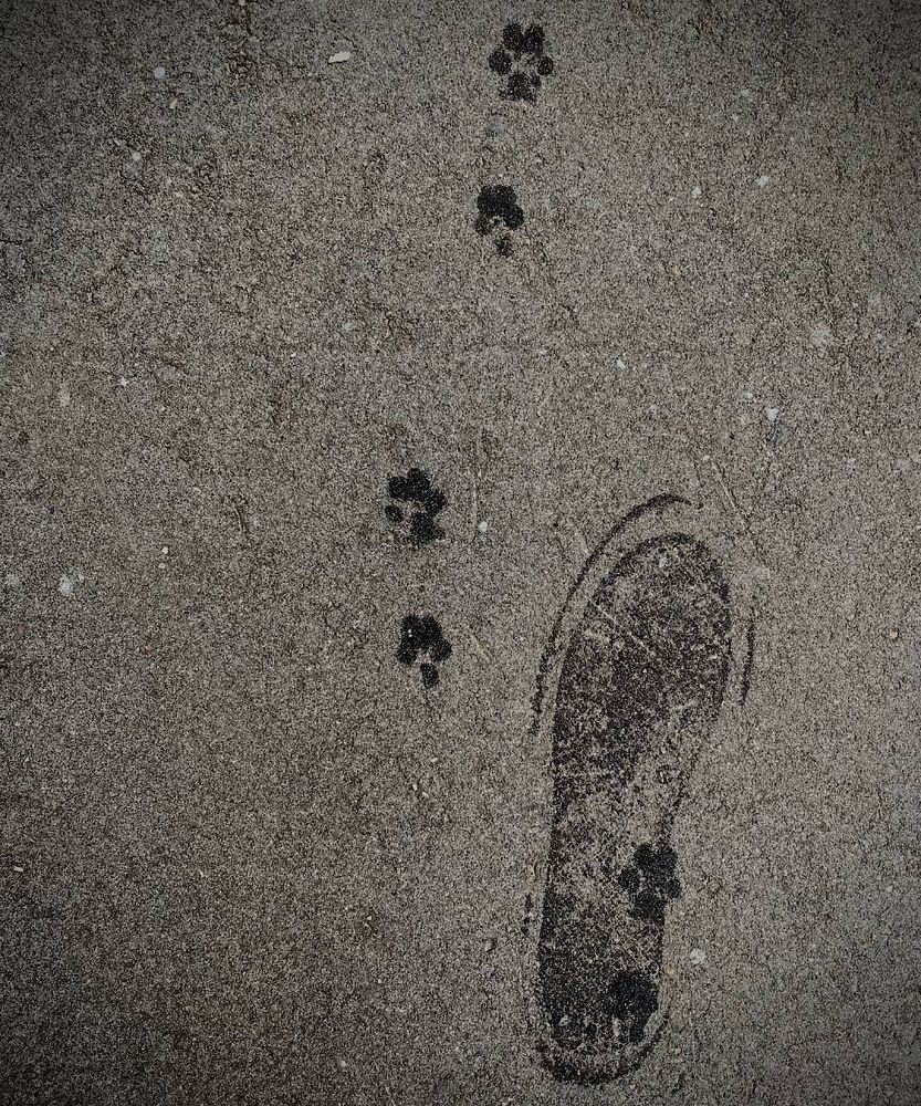 Photograph by Наталия Любчикова