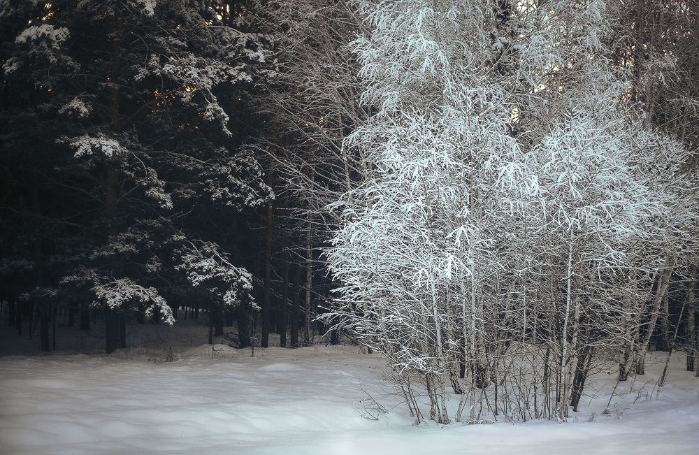 Photograph by Ткачёв Владимир