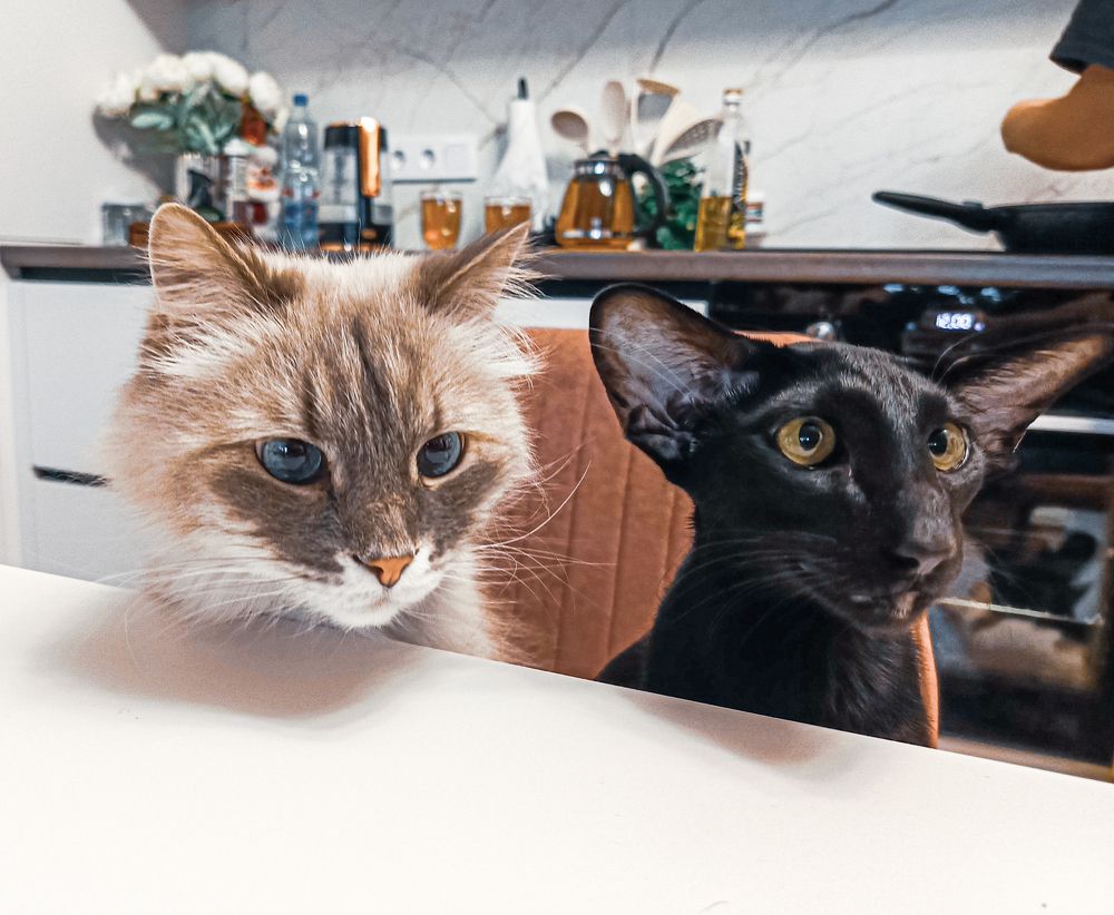 Photograph by Алексей Шевцов