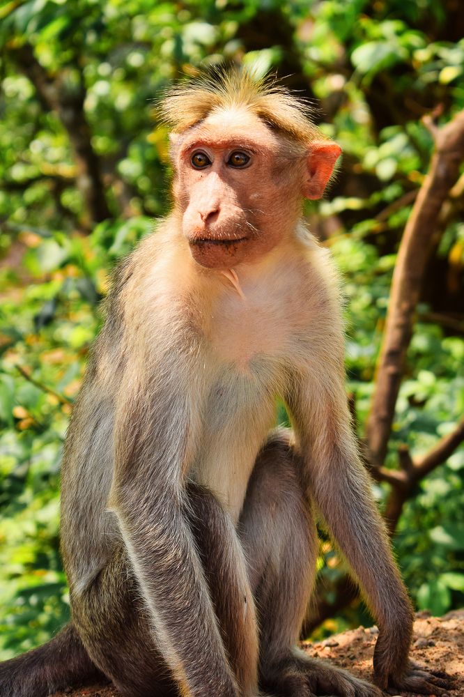 Photograph by Vimal Ram S