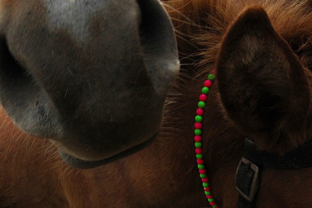 Photograph by Борис Астафьев