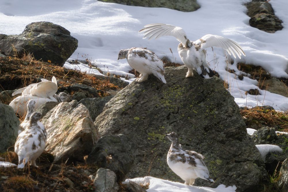 Photograph by Мозжухин Максим