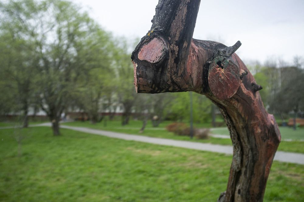 Photograph by Николай Галкин