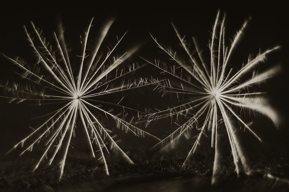 Photograph by Сергей Скопинцев