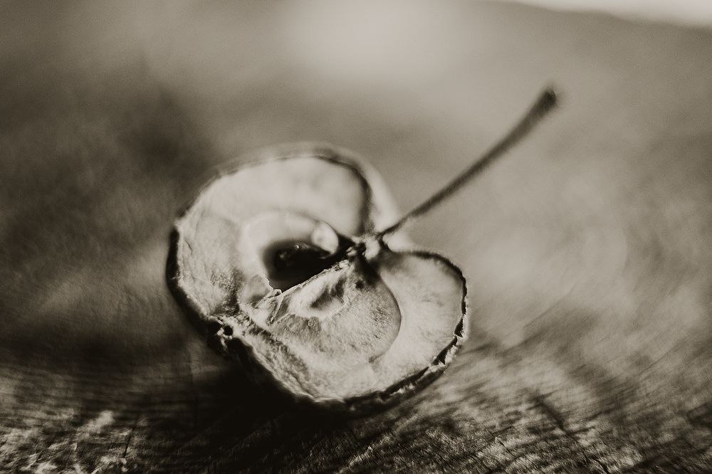 Photograph by Сергей Скопинцев