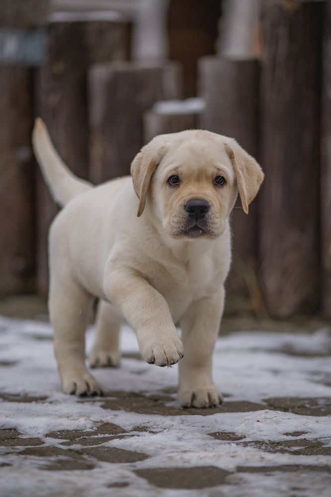 Photograph by Елена Раздвилова