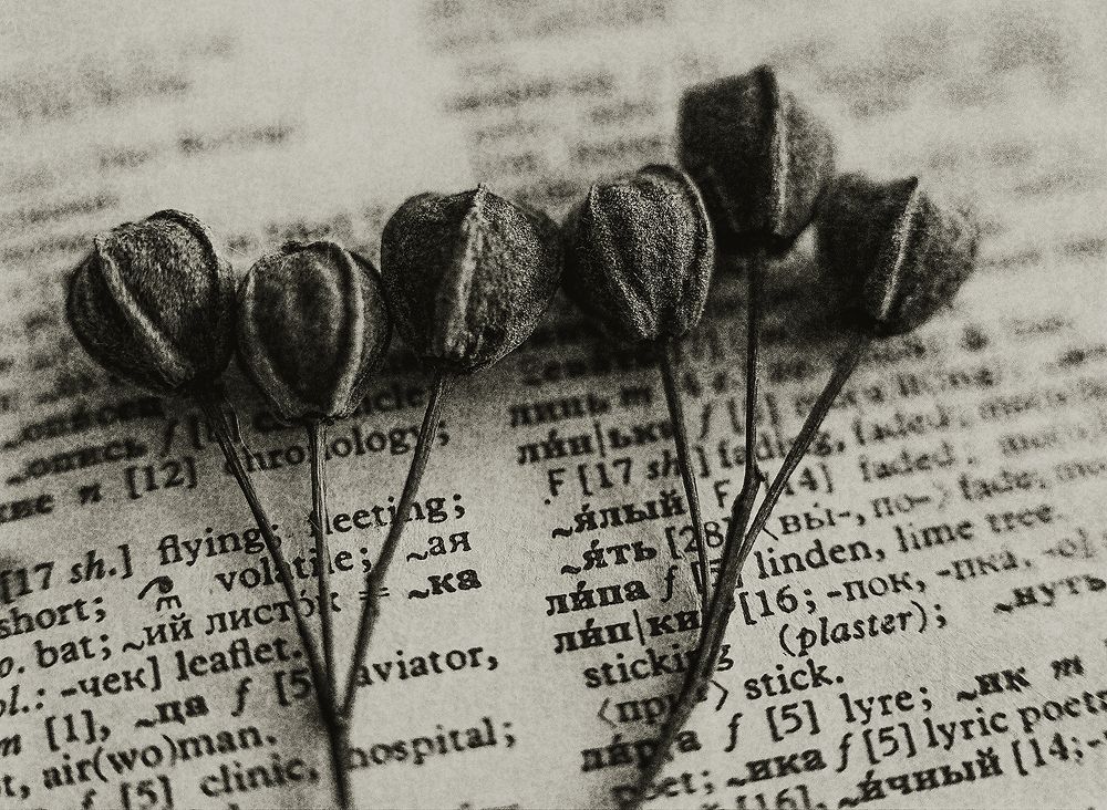 Photograph by Сергей Скопинцев