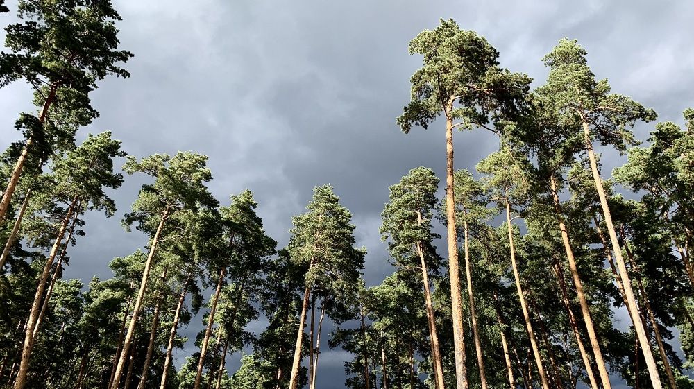 Photograph by Алексей Скорик