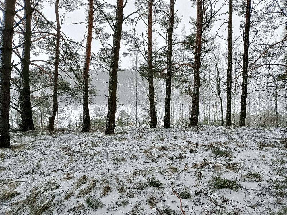 Photograph by Александр Гришин