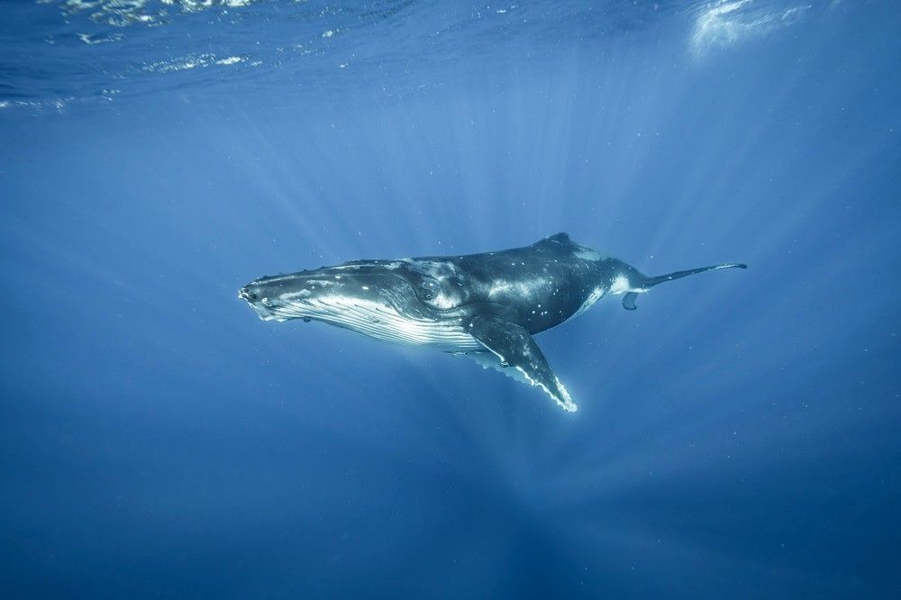 Photograph by Труханов Илья