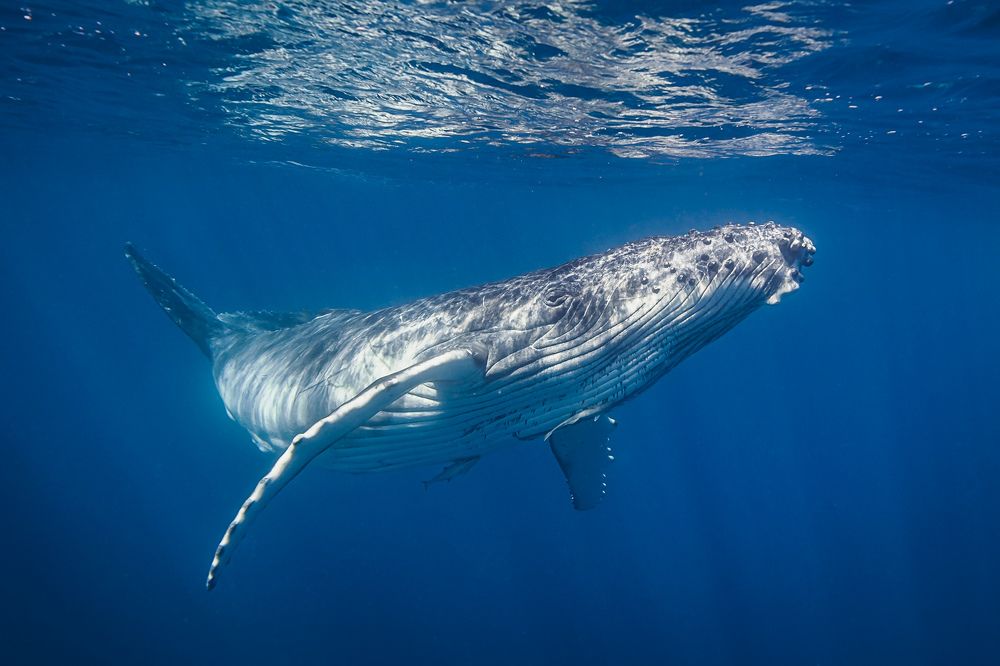 Photograph by Труханов Илья