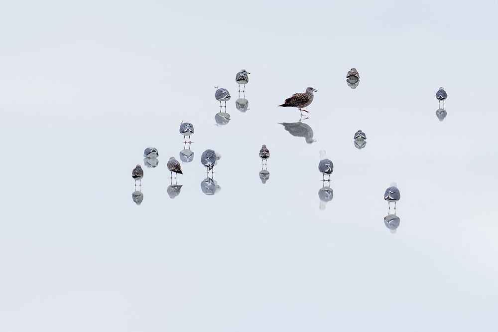 Photograph by Анжелика Титова