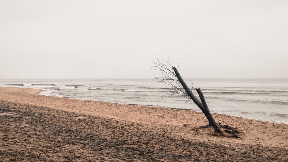 Photograph by Валерия Первенецкене