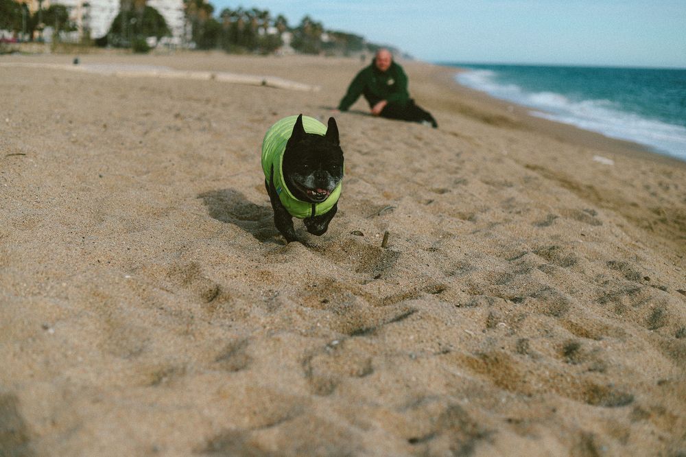 Photograph by Julia Smilovitsky