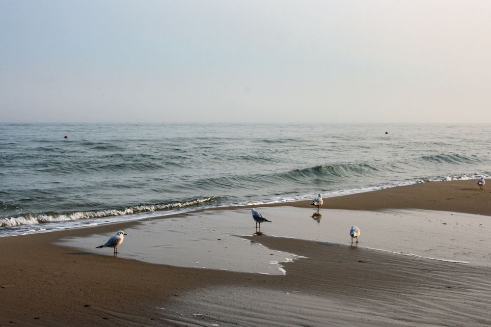 Photograph by Валерия Первенецкене
