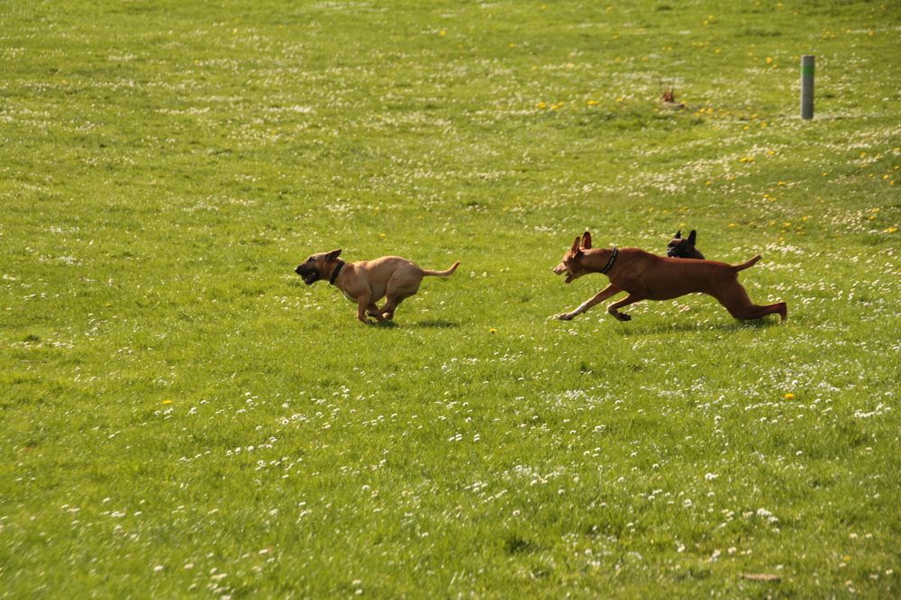 Photograph by Vladislav Kaplun