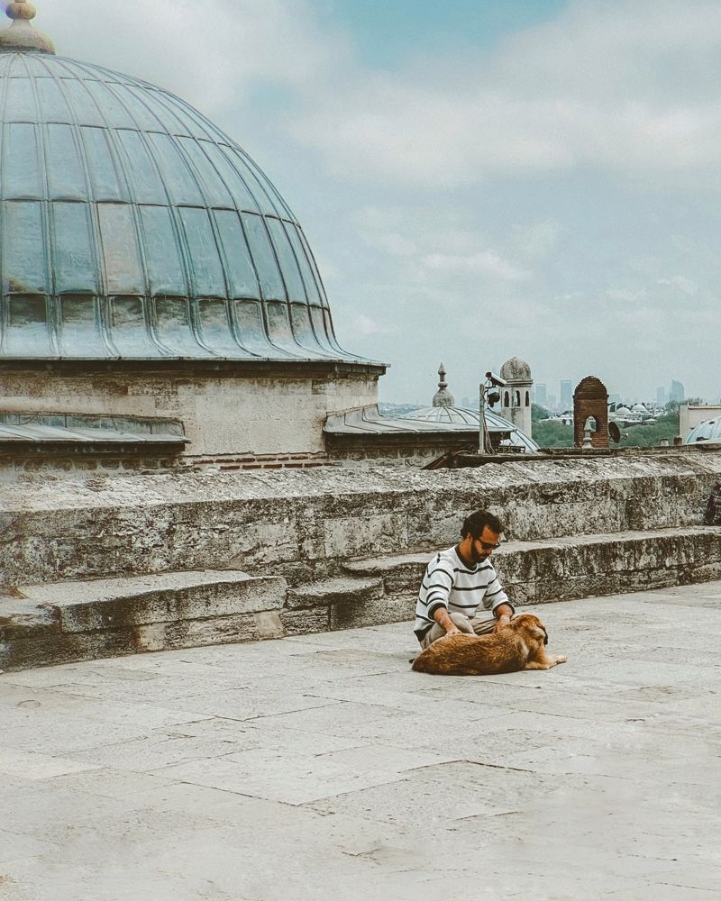 Фотография автора Евгения Никишина